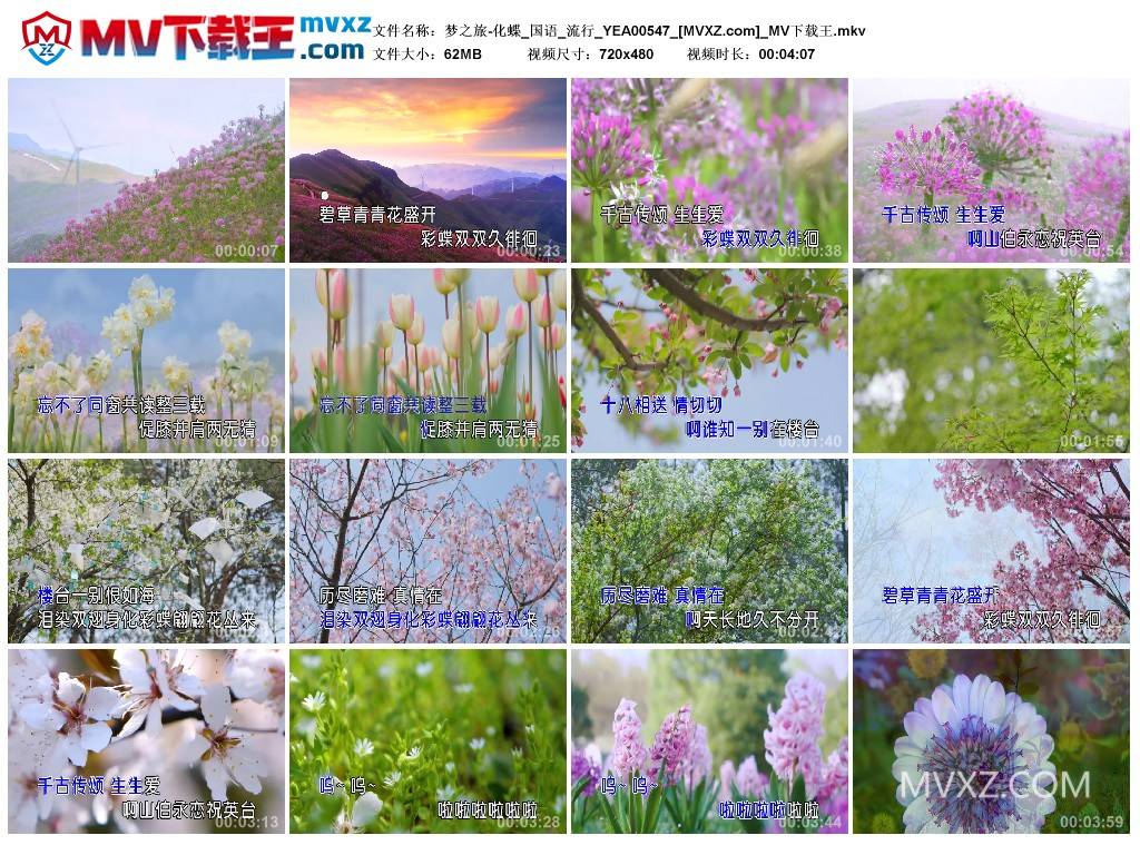 梦之旅-化蝶_国语_流行_YEA00547